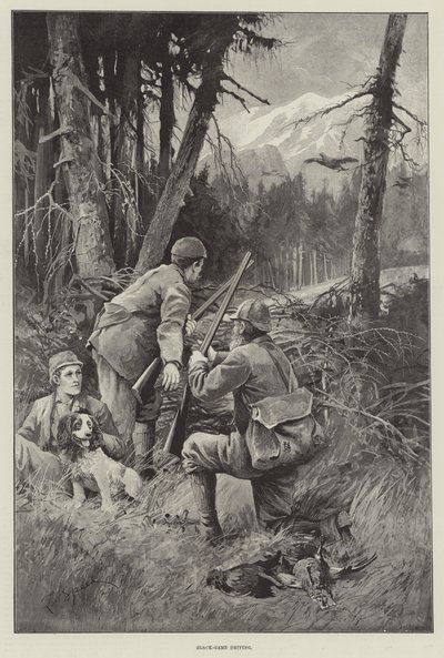Chasse au tétras noir - Lancelot Speed